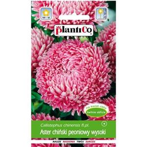 Aster Peoniowy Wysoki Różowy 1g Plantico