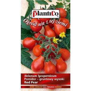 Pomidor Gruntowy Red Pear 0,2G Standard Plantico