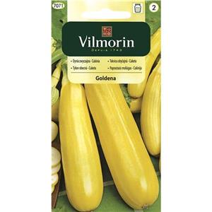 Dynia Zwyczajna Cukinia Goldena 2g Standard Vilmorin