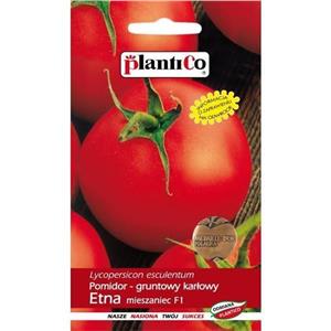 Pomidor Gruntowy Etna F1 10G Standard Plantico