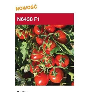 Pomidor N 6438 F1 5T nas. Standard