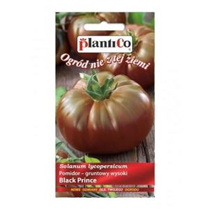 Pomidor Pod Osłony Black Prince 0,2G Standard Plantico