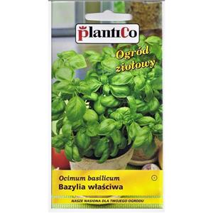 Bazylia Zielona Właściwa 1g Plantico