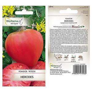 Pomidor Herodes 0,5G Standard Werbena
