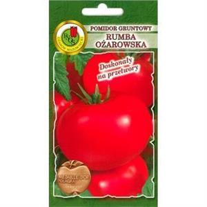 Pomidor Gruntowy Rumba Ożarowska 10g Standard PNOS