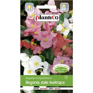 Begonia Stale Kwitnąca Mieszanka 0,1g Plantico