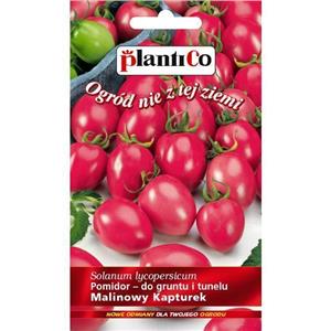 Pomidor Gruntowy Malinowy Kapturek 0,2g Standard Plantico