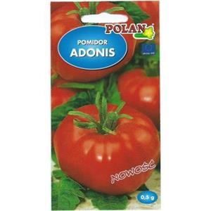 Pomidor Malinowy Gruntowy Adonis 0,5g Polan