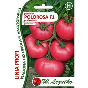 Pomidor Malinowy Pod Osłony Polorosa F1 15 nas. Standard Legutko