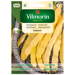 Fasola Żółta Tyczna Goldmarie 10g Standard Vilmorin