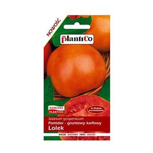 Pomidor Gruntowy Lolek 0,5G Standard Plantico
