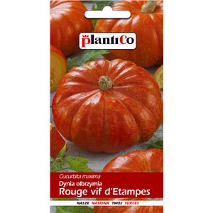 Dynia Rouge vif d'Etampes 3g Plantico 