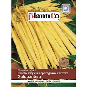 Fasola Szparagowa Karłowa Żółta Goldpantera 40G Standard Plantico