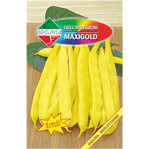 Fasola Płaskostrąkowa Karłowa Żółta Maxigold 30g Standard Spójnia